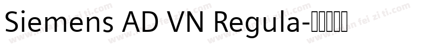 Siemens AD VN Regula字体转换